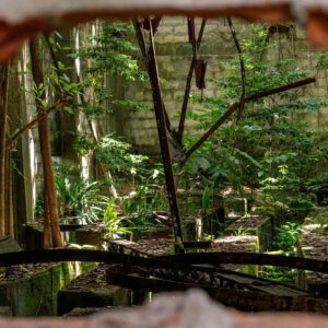 shooting photo insolite