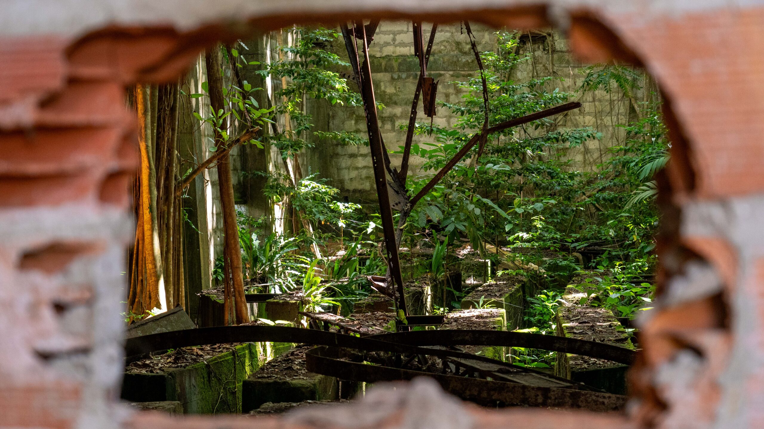 shooting photo insolite